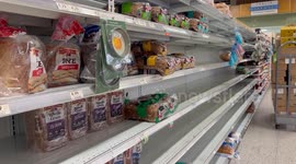 Hurricane Milton Storm Prepardness - Tampa/Hillsborough County