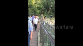 China: Mischievous Monkey Touches Old Man's Bald Head