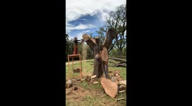 Chainsaw Wood Sculpture of Columbaire Hand Throwing Pigeon