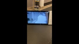 Paranormal Baby Monitor