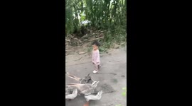 Woman comes to rescue of child being attacked by aggressive goose in China