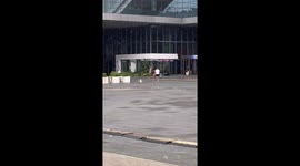 Pet dog rides skateboard to chase after its owner