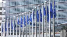 Belgium: EU should create more stable environment for Chinese investors