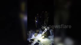 SDRF successfully rescues four foreign tourists stranded on trek in northern India