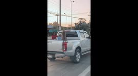 Monkey steals milk from the back of pickup truck at traffic lights