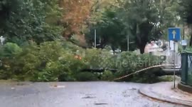 Portugal: Storm Kirk Leaves Damage In Northern Region