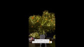 Walk through the South Carolina neighbourhood dubbed the 'city of Halloween'