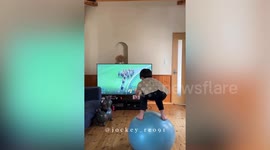 Boy, 10, trains to become jockey using a bouncing ball