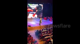 Heartbreaking moment black bear forced to perform falls off stage in China