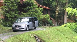 Bear foraging for food opens and closes van door, leaving onlookers shocked