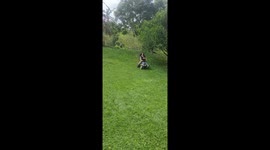 Toy mishap in Bogotá