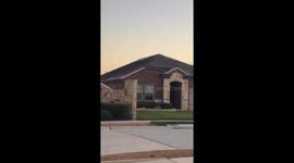 Large flock of birds covers roof in Denton, Texas