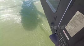 US: Heroic Airdrops in North Dakota: Guard Battles Bear Den Fire from Above