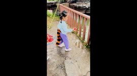 Toddler feeds a hungry hippo in China