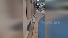 Residents stack sandbags to protect against Hurricane Milton in Bradenton, Florida
