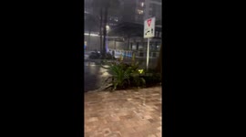 Tampa Endures Hurricane Milton’s Fierce Winds: footage Captures the Storm’s Intensity