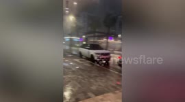 Hurricane Milton bends trees as it whips through Tampa, Florida