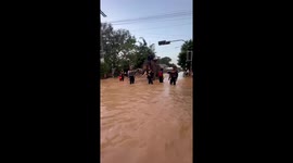 Elephants spray water while helping deliver food in floods