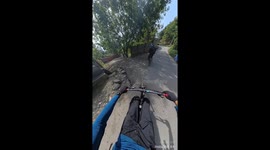 Baby sheep encountered on downhill ride in Srinagar