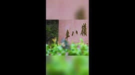 Rare butterfly species observed in Guangdong, China