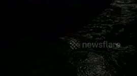 Tropical Storm Impacting Trout River