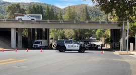 US: Auto vs Bicyclist Fatal Collision in Alamo