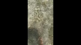 Locals walk through coastal town that is perennially flooded