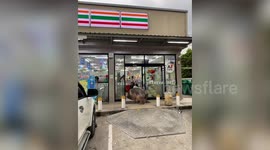 Huge pig visits local convenience store for a snack