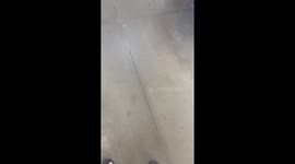 Employee Is Dying To Go Home