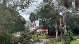 Hurricane Milton Aftermath in Tampa