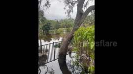 US: Hurricane Milton Causes Major Flooding Across Florida