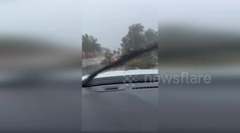 Uprooted tree falls onto car during Hurricane Milton