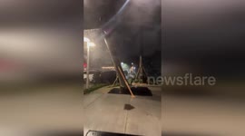 Palm tree uprooted by Hurricane Milton in Florida