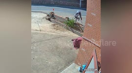Cyclist travelling too fast downhill faceplants after hitting wall and loses four teeth