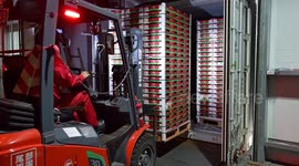 China's Shanghai welcomes first imports of South African avocados