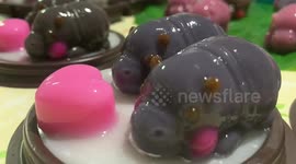 Home cook makes jelly treats shaped like baby hippo Moo Deng