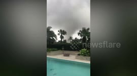 Hurricane Milton aftermath cleared from Florida homes