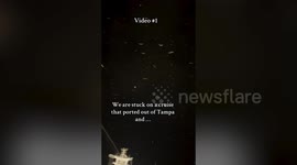 Birds and moths fall from sky onto cruise ship's deck amid Hurricane Milton