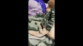 Spoiled Cow Calf Cuddles In Bed
