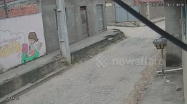 Brazil: Elderly Man Injured After Horse-Drawn Carriage Overturns, Leaving Him Trapped Underneath While Horse Bolts