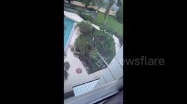 US: Aftermath of the Hurricane Milton in Pinellas County