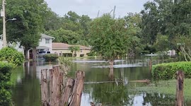 Hurricane Milton Causes Flooding