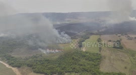 Brazil: Wildfire in Sao Paulo's reserve causes massive burns of animals
