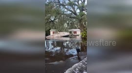 Florida police search Hurricane Milton floods in Hillsborough County