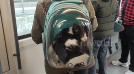 Bubble pet backpack. Paris suburb, France, Esbly.12 oct 2024.