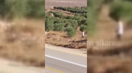 Palestine: West Bank Settlers Expel Palestinian Farmers