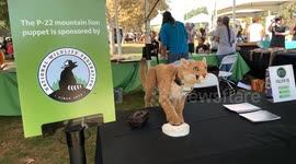 Watts’s 2 Wildlife Community Event