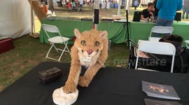 Watts’s 2 Wildlife Community Event