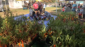 Watts’s 2 Wildlife Community Event