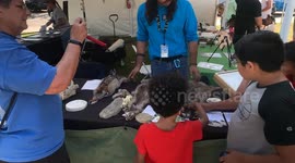 Watts’s 2 Wildlife Community Event